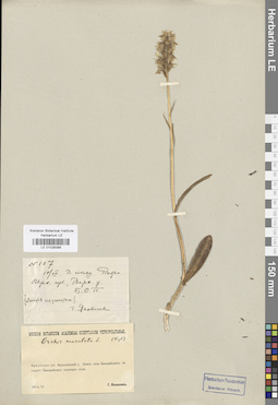 LE 01028399