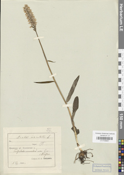 LE 01028401