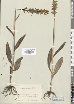 LE 01028403
