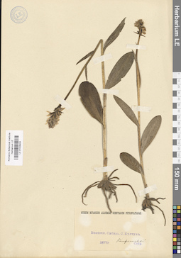 LE 01028404