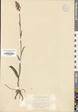 LE 01028407