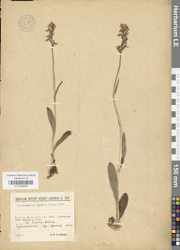 LE 01028408