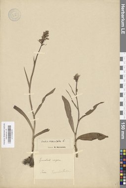 LE 01028415