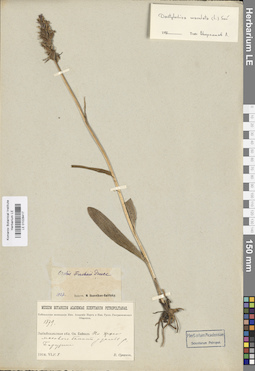 LE 01028417