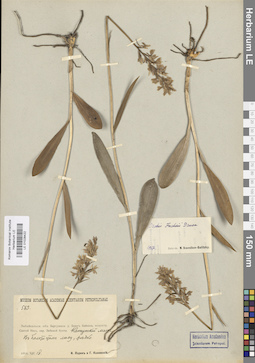 LE 01028422