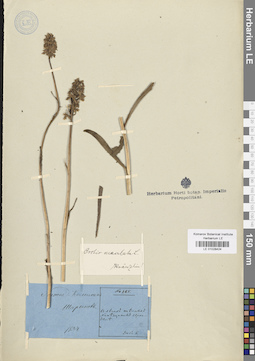 LE 01028424