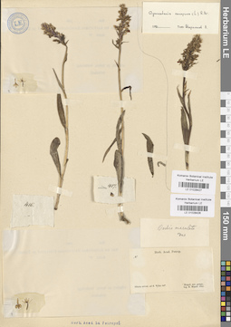 LE 01028427