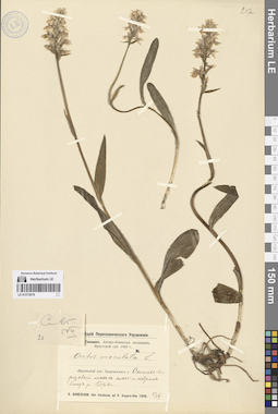 LE 01272619