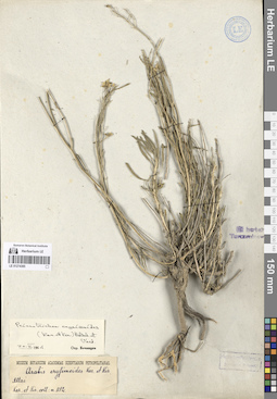 LE 01274385