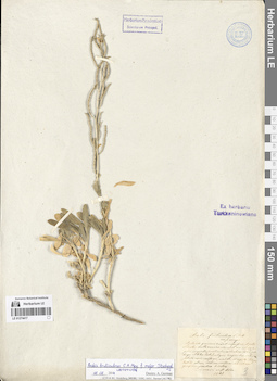 LE 01274417