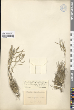 LE 01274484