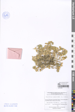 LE 01272693