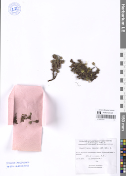 LE 01272715