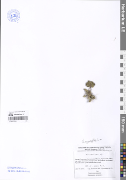 LE 01272716