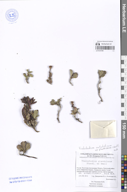 LE 01272750