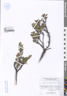 LE 01272758