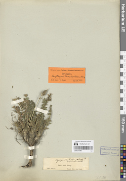 LE 01272798