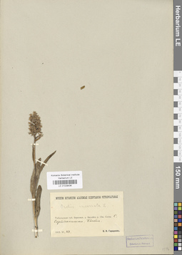 LE 01028436