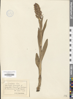 LE 01028441