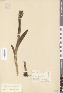 LE 01028462