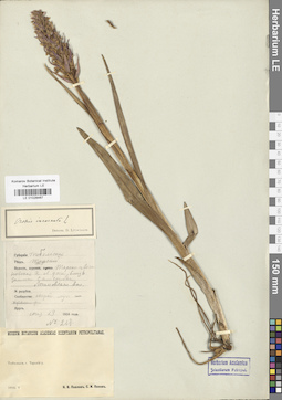LE 01028467