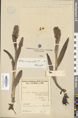 LE 01028472