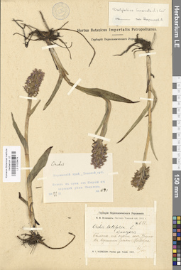 LE 01028474