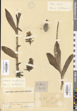 LE 01028475