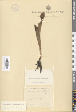 LE 01028477