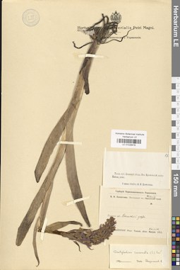 LE 01028478