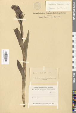 LE 01028484