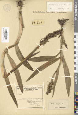 LE 01028487