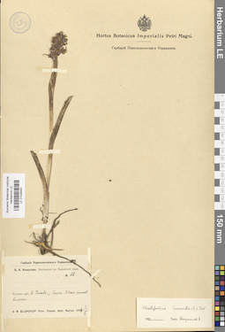 LE 01028491