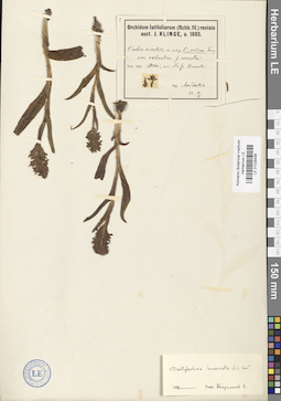 LE 01028496