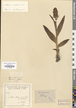 LE 01028499