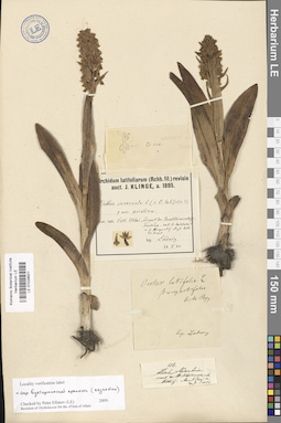 LE 01028501