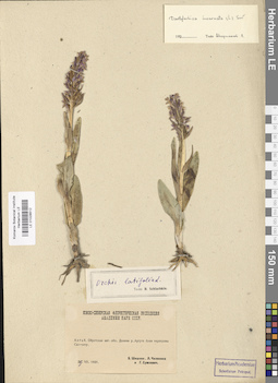 LE 01028512