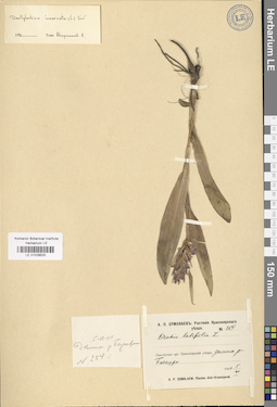 LE 01028520