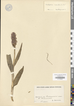 LE 01028525