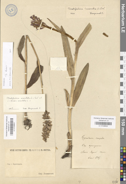 LE 01028530