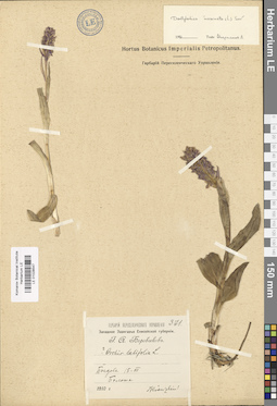 LE 01028547