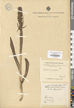 LE 01028548