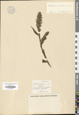 LE 01028572