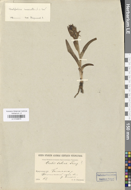 LE 01028575