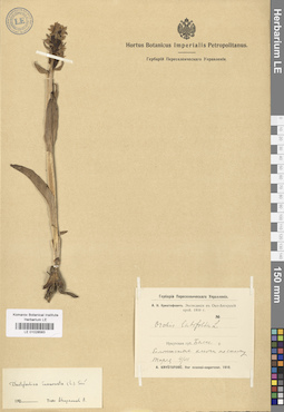 LE 01028583