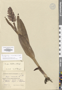 LE 01028588