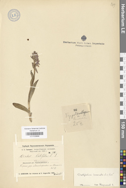 LE 01028595
