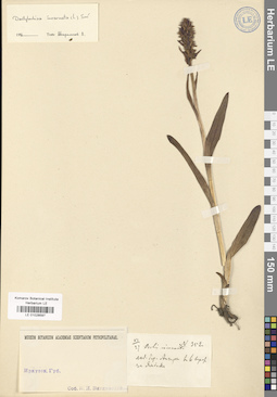 LE 01028597
