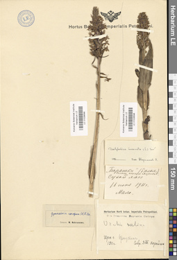 LE 01028598