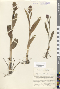 LE 01028678